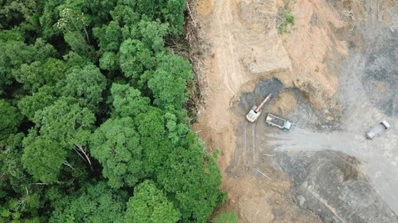 طرح برزیل برای گسترش کشاورزی بدون جنگل‌زدایی آمازون