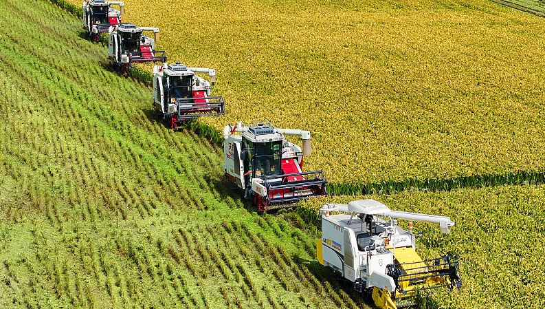 افزایش تولید محصولات کشاورزی در چین با بهره گیری از خلاقیت های فناوری