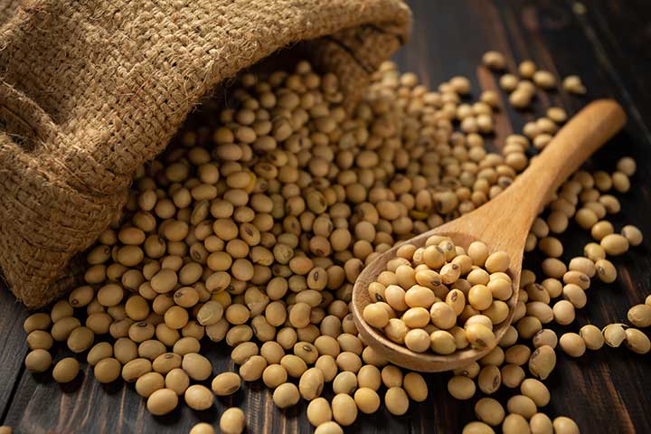 برگزاری مناقصه خرید ۳٠٠٠ تن دانه سویا از روسیه