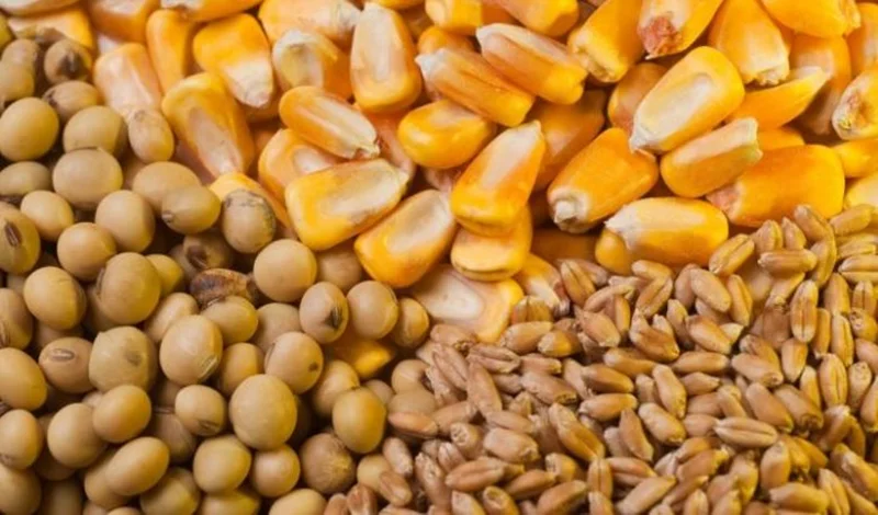 برگزاری دور دوم مناقصه برای ترخیص 200 هزار تن نهاده های دامی از بنادر شمالی کشور