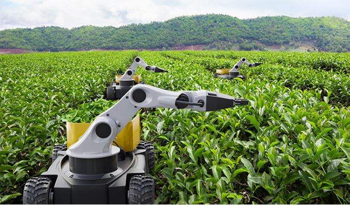 بررسی توسعه فناوری های مبتنی بر هوش مصنوعی در صنعت کشاورزی