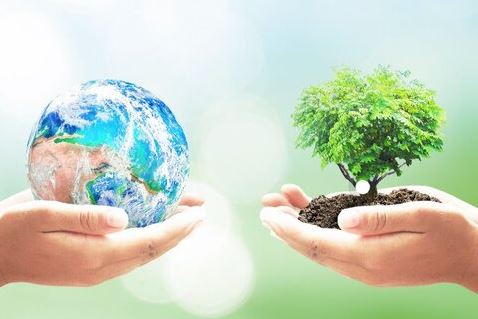 گرامیداشت روز درختکاری